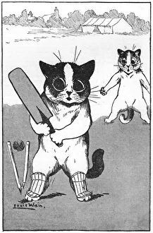 Cricket