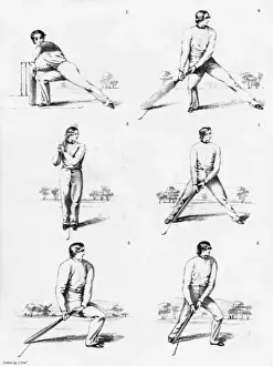 Batsman Prints: Cricket Felix on the bat