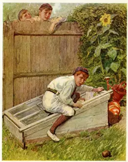 Sunflower Prints: Cricket - The Lost Ball