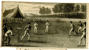 Cricket match in progress