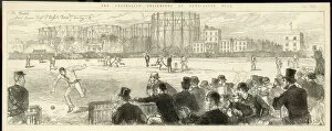 Oval Collection: Cricket at the Oval