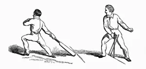 Results Collection: Cricket Stumped