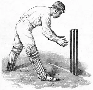 Cricket Wicket Keeping