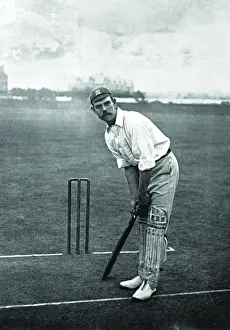 Cricketer, Bean
