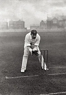 Images Dated 2nd June 2020: CRICKETER, BOARD
