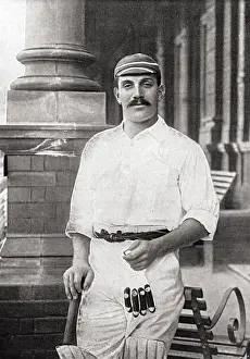 Cricketer, Brown