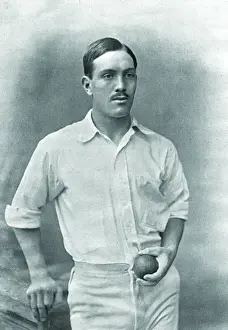 Cricketer, Brown