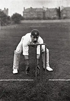 Cricketer, Butt