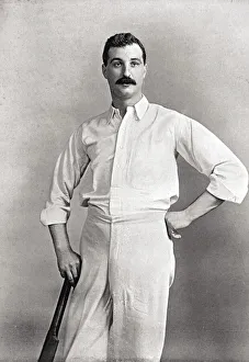 Diver Gallery: Cricketer, Diver