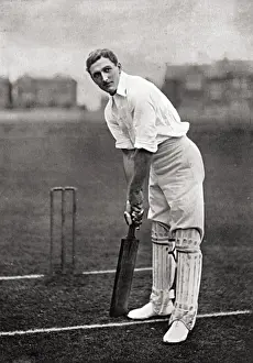 Cricketer, Fry