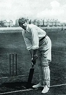 Cricketer, Gunn