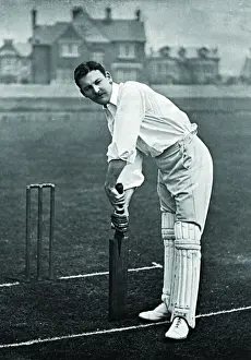 Cricketer, Lucas