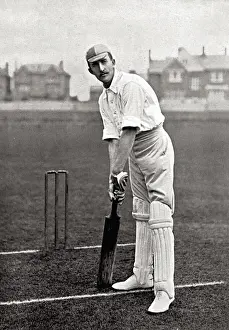 CRICKETER, PALAIRET