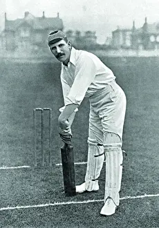 Cricketer, Tindall