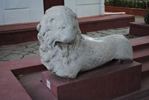 Images Dated 31st July 2011: Crimea. Feodosiya Museum of Regional Studies