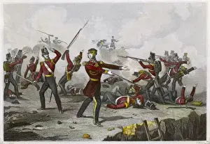 Crimean / Seb / Windham / 1855