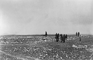 Crimean War - Fenton photograph