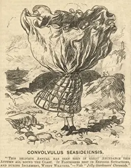Crinoline Prints: Crinoline in High Wind