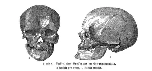 Sapiens Prints: CRO-MAGNON MAN SKULLS