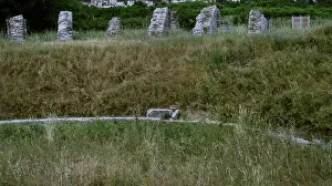 Dalmatia Prints: Croatia, Solin. Ancient city of Salona. Archaeological ruins
