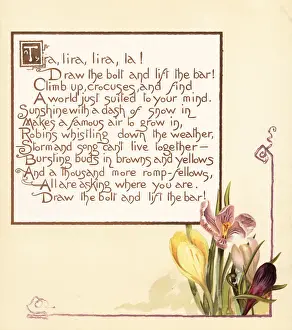 Prang Prints: Crocus flowers, Crocus sativus, and calligraphic poem