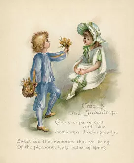 Personified Gallery: Crocus & Snowdrop / Language of Flowers