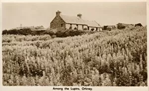 Crofters Cottage, Orkney