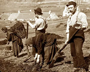Croft Prints: Crofters cutting peat on the west coast of Scotland