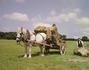Images Dated 6th December 2016: Crofters with horse and cart, Barra, Outer Hebrides