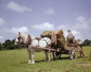 Crofters with horse and cart, Barra, Outer Hebrides