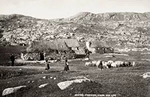 Outer Collection: Crofters with sheep, Barra, Outer Hebrides, Scotland