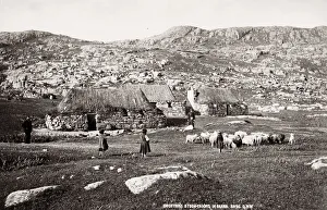 Farmers Prints: Crofters with sheep, Barra, Outer Hebrides, Scotland