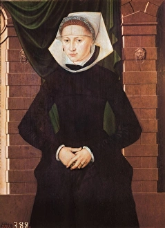 Adriaen Gallery: Cronenburch, Adriaen (16th Century)