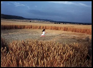 Huge Collection: Crop Circle Alton Barnes