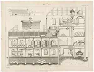 Cross Section of Brewery