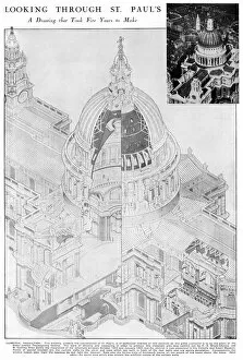 Images Dated 8th July 2011: Cross-section of St. Pauls Cathedral