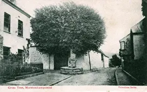 Cross Tree, Moretonhampstead, Devon