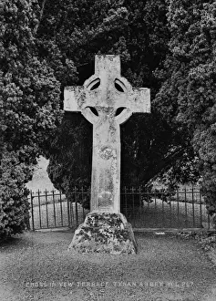 Cross in Yew Terrace, Tynan Abbey