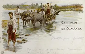 Galati Prints: Crossing the Danube by Ox cart - Romania