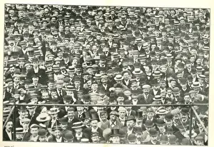 Boaters Prints: Crowd at The Oval Cricket Ground, London