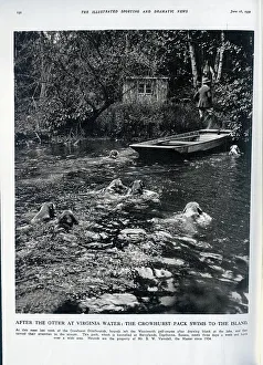 Otter Prints: Crowhurst Otterhounds