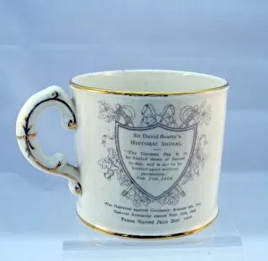 Crown Devon china mug with flags of the Allies