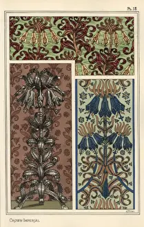 Grasset Prints: Crown imperial flower, Fritillaria imperialis