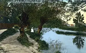 Willows Prints: Croyden, Willows on the Wandle
