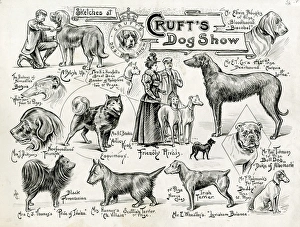 Images Dated 5th August 2016: Crufts Dog Show - dogs and owners