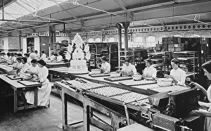Crumpsall CWS Biscuit Factory in 1908