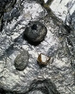 Carbon Prints: Some crystal forms of carbon