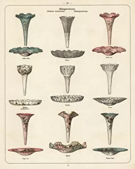 Glassware Collection: Crystal garnitures and dishes