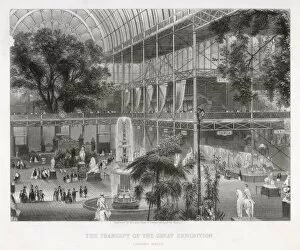 Living Collection: Crystal Palace 1851
