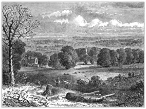 Crystal Palace